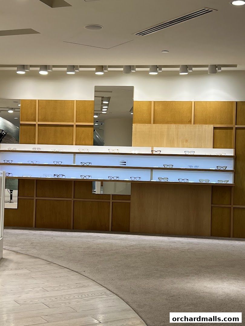 Interior view of a modern eyewear store with illuminated shelves displaying various glasses.