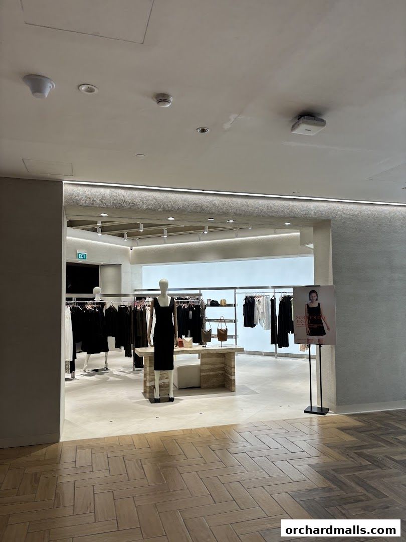 Interior view of a modern clothing store with mannequins and racks of apparel.