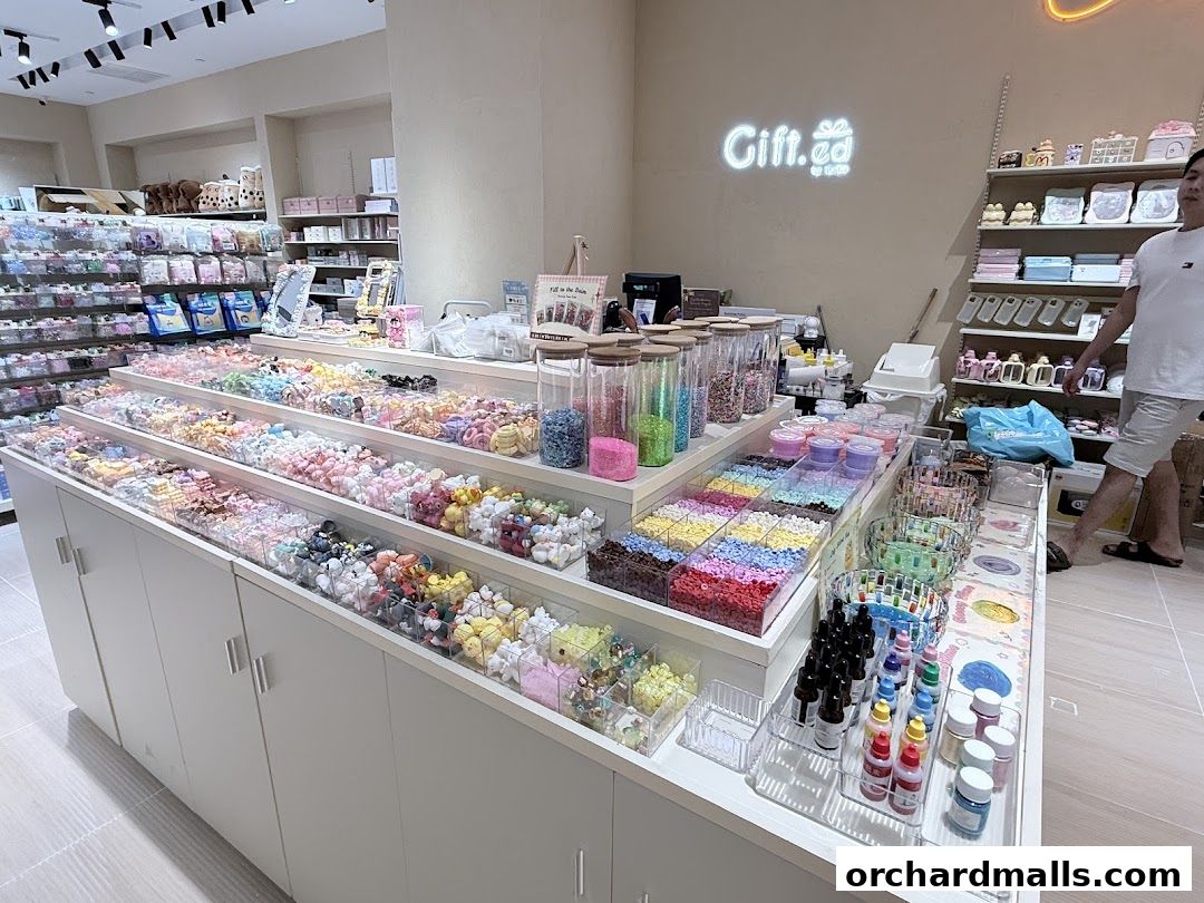 Gift.ed by Turtle The Cathay