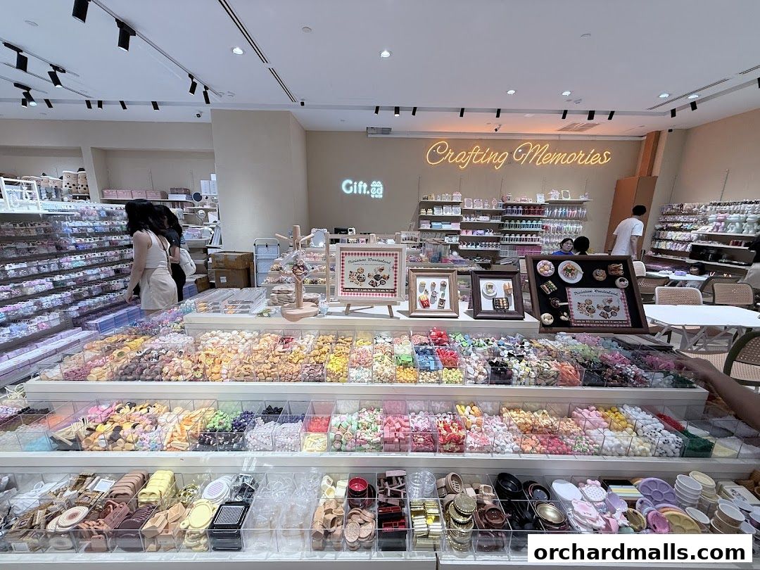 Gift.ed by Turtle The Cathay