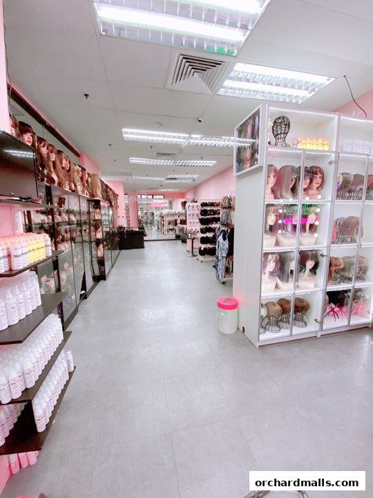 Interior view of a wig shop showcasing a wide selection of wigs and hair care products.