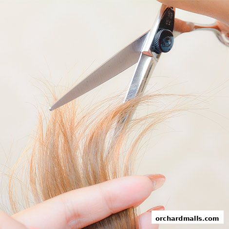 Close-up of scissors cutting blonde hair, with a hand holding the hair.