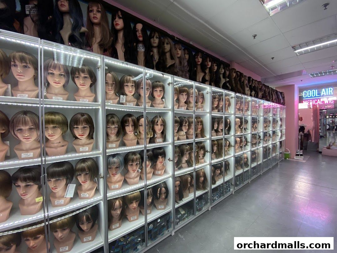 Interior view of a wig shop showcasing a wide variety of wigs on display mannequins.
