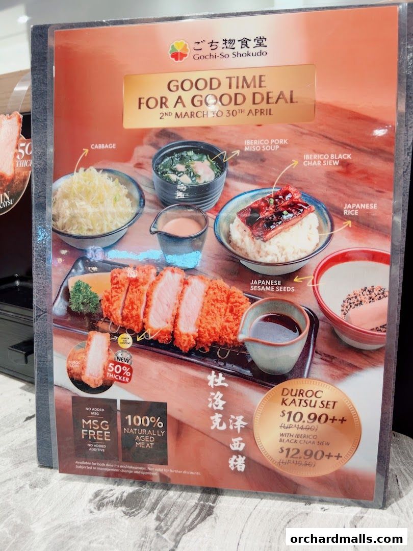 Gochi-So Shokudo ごち惣食堂 Wisma Atria