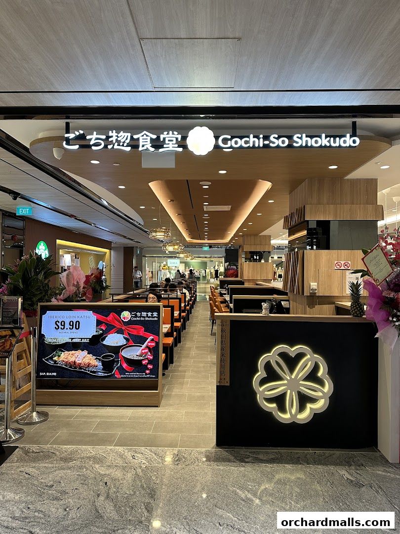Gochi-So Shokudo ごち惣食堂 Wisma Atria