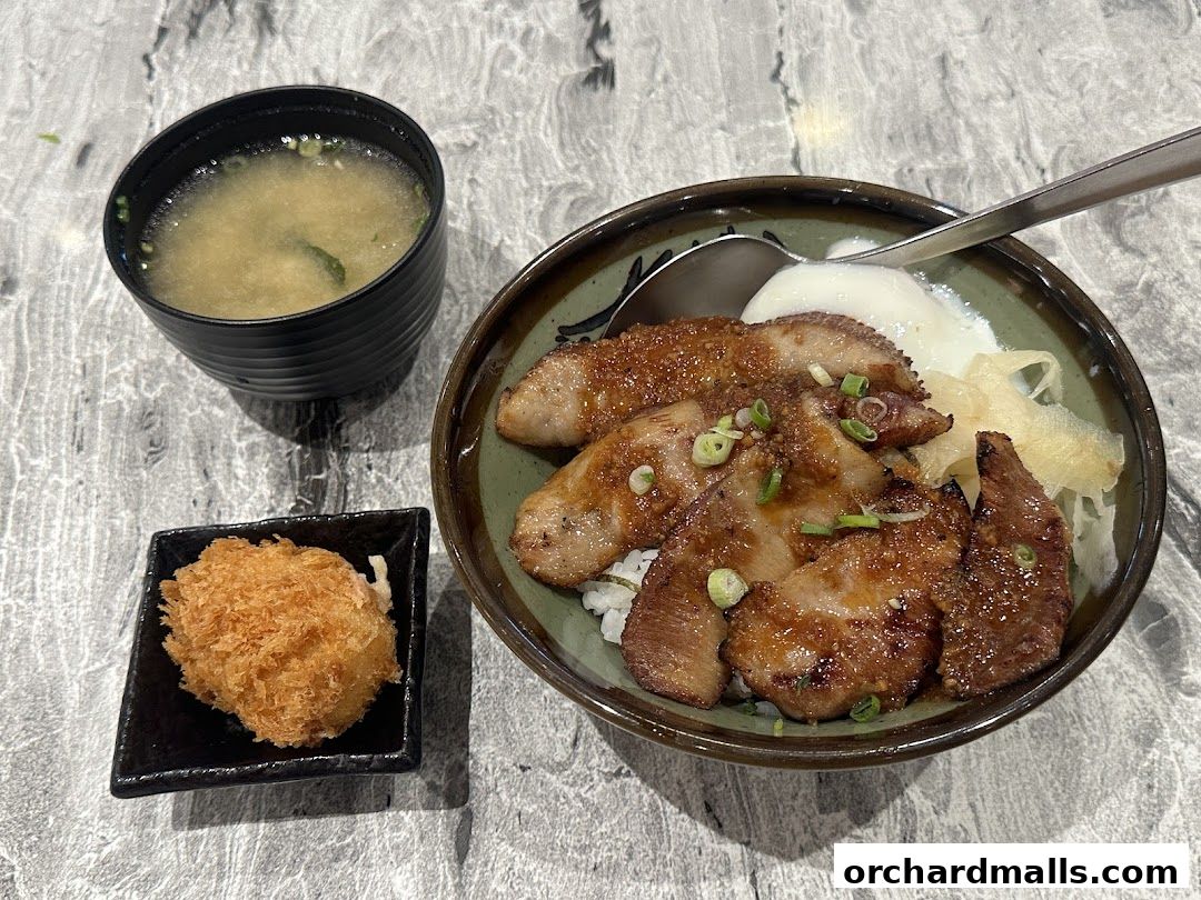 Gochi-So Shokudo ごち惣食堂 Wisma Atria