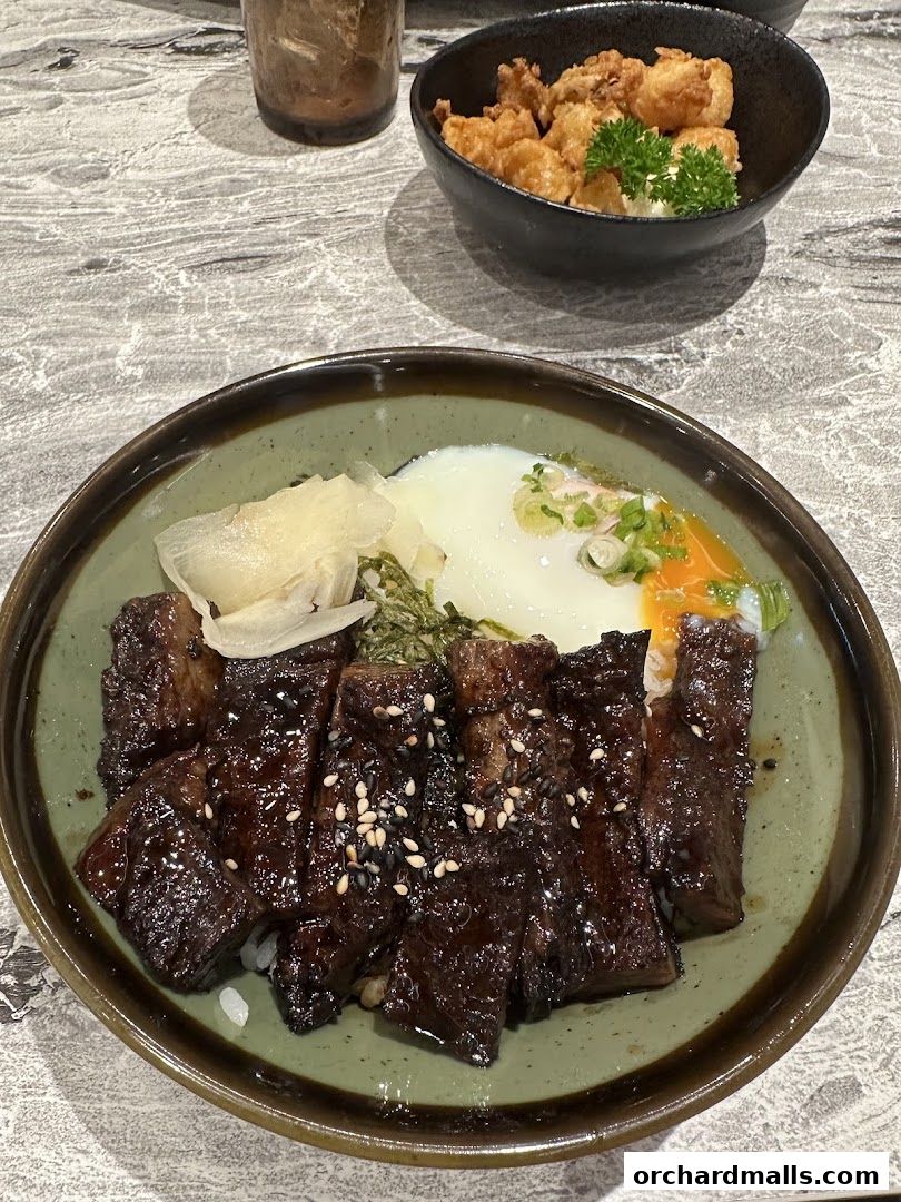 Gochi-So Shokudo ごち惣食堂 Wisma Atria