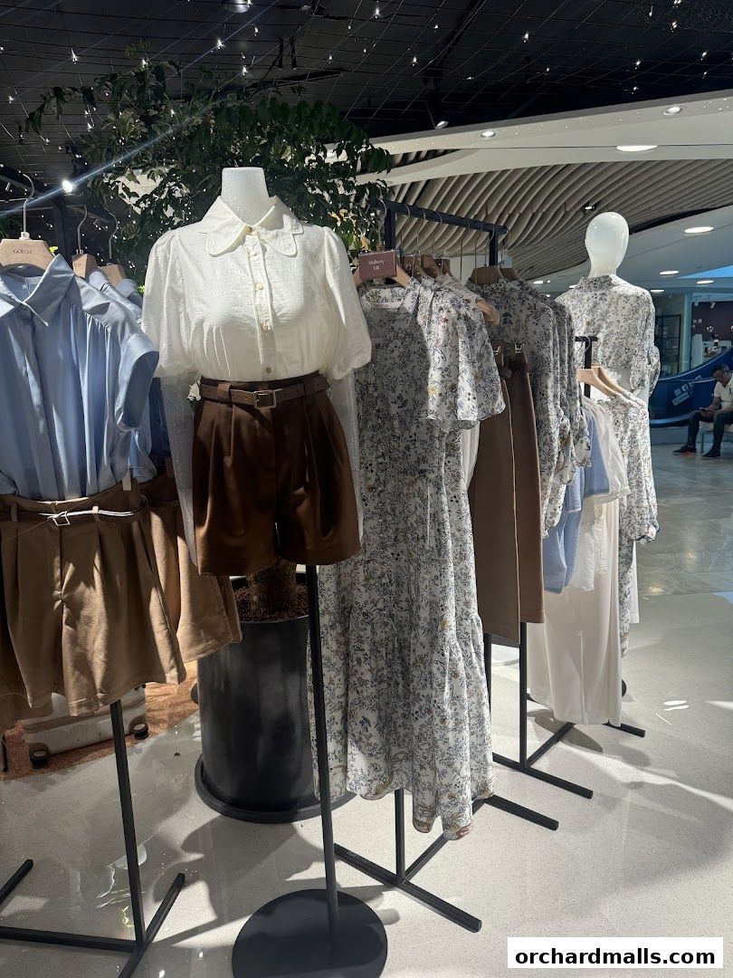 Mannequins display stylish women's clothing, including blouses, shorts, and dresses.