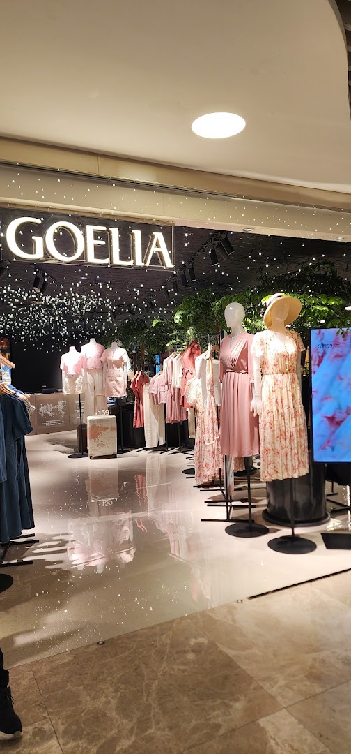 Goelia Wheelock Store