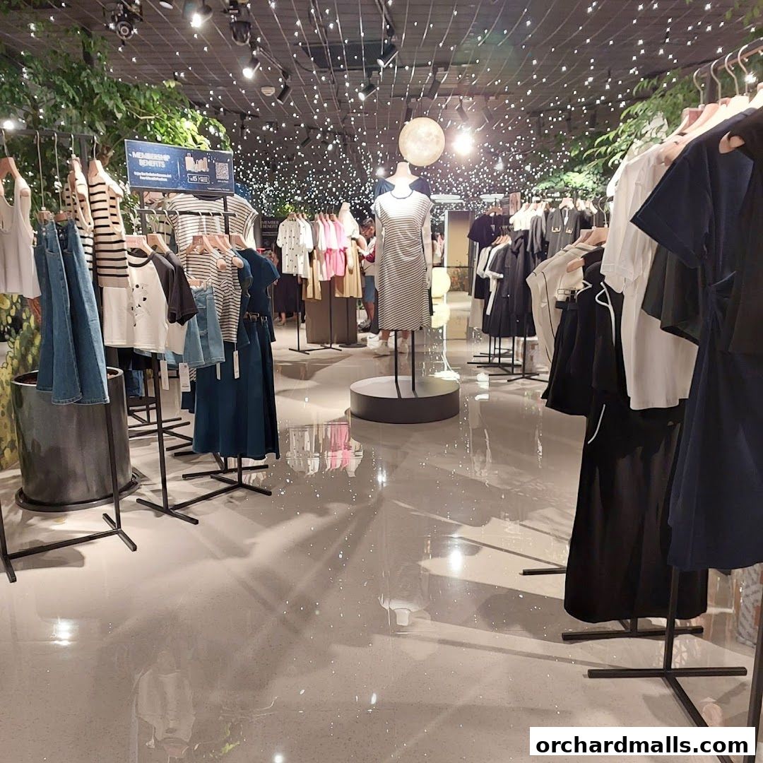 Interior view of a clothing store with racks of apparel and mannequins.