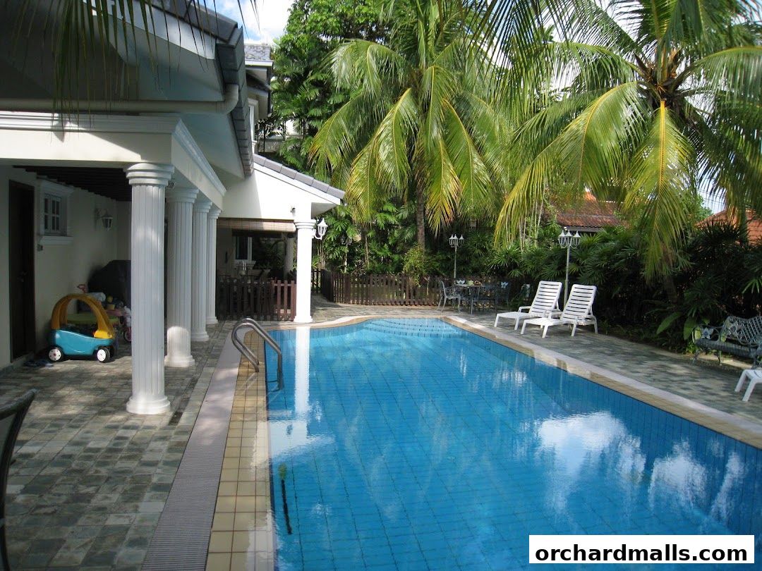 A luxurious swimming pool area with lounge chairs and palm trees.
