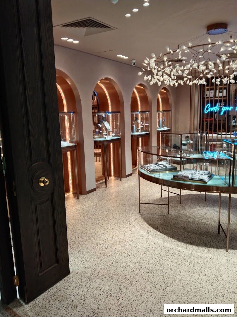 Interior view of a modern jewelry store with display cases and elegant lighting.