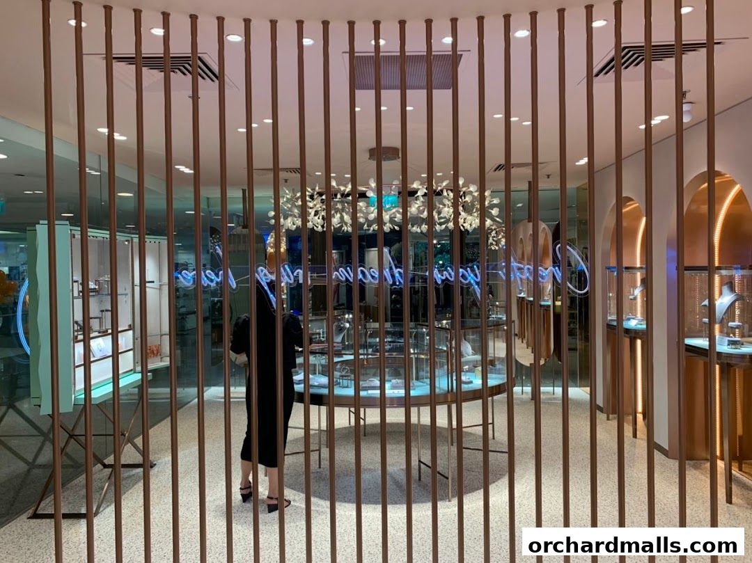 Interior view of a modern jewelry store with display cases and a person browsing.