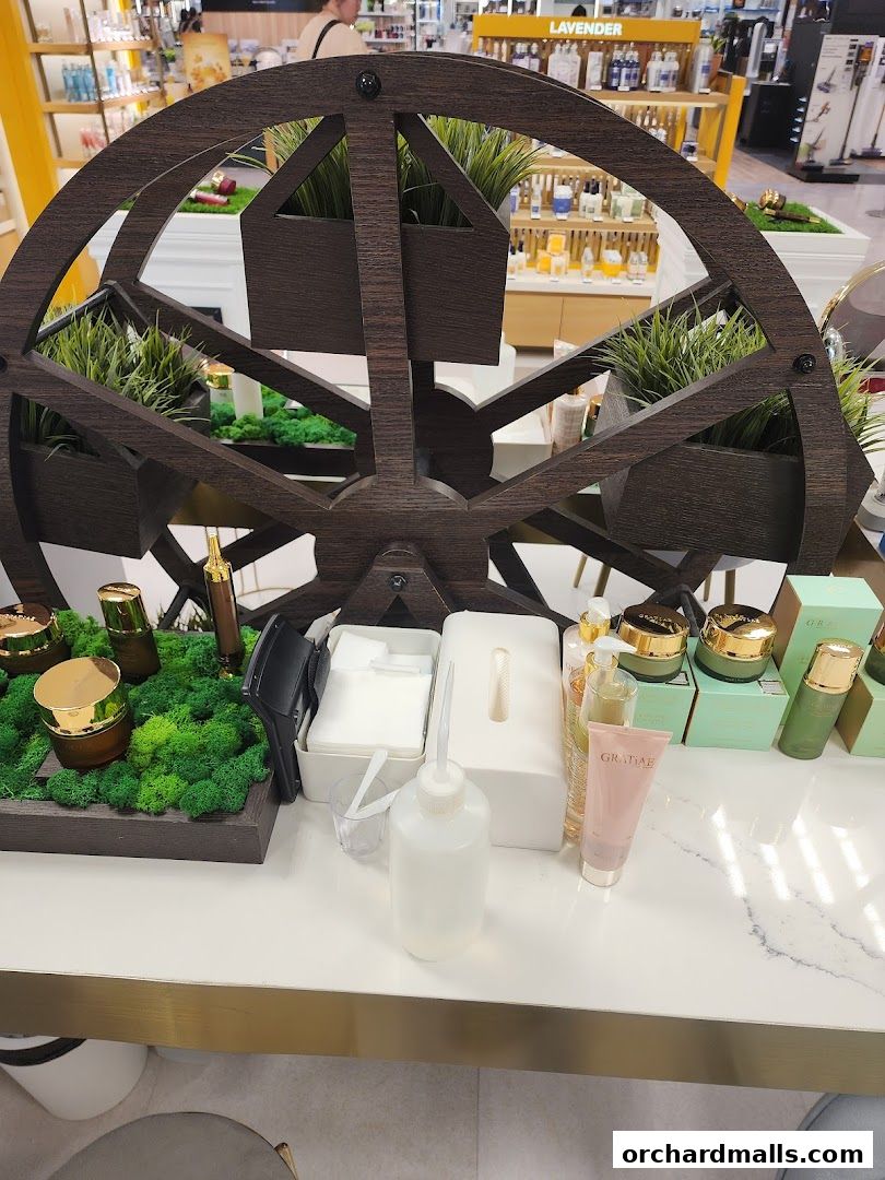 A display of skincare products with a decorative wooden wheel and greenery.