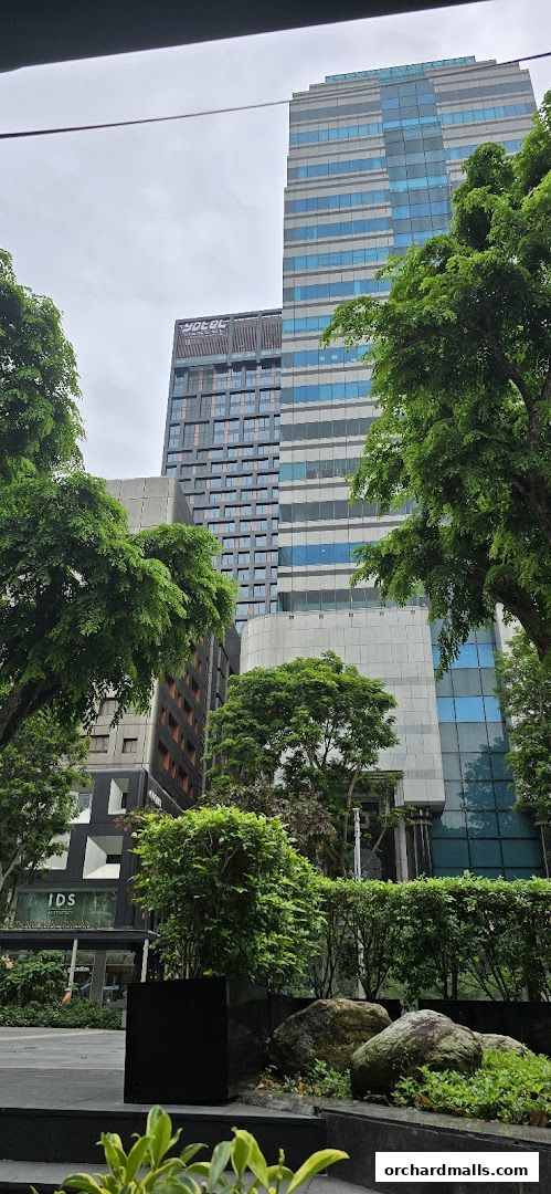 Guardian Health  Beauty - Scotts Square