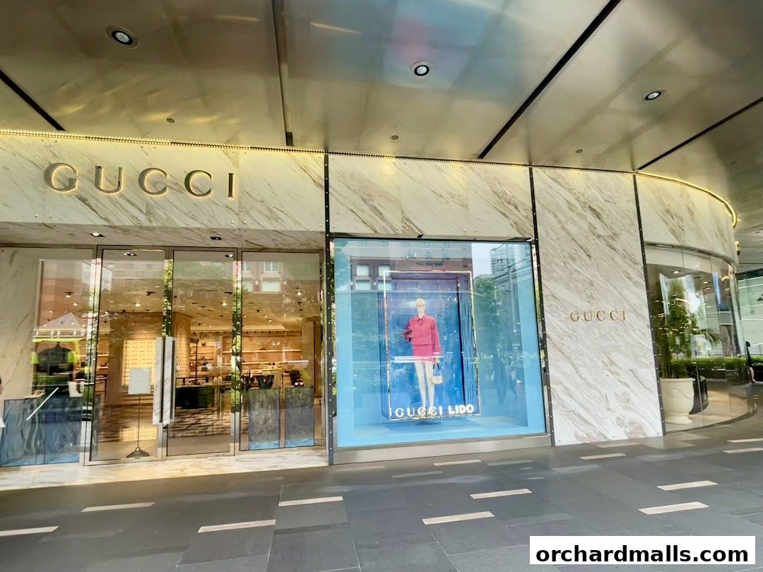 Gucci - Paragon