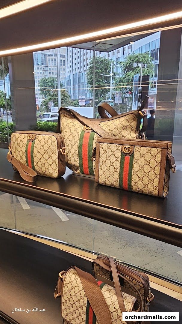 Gucci - Paragon