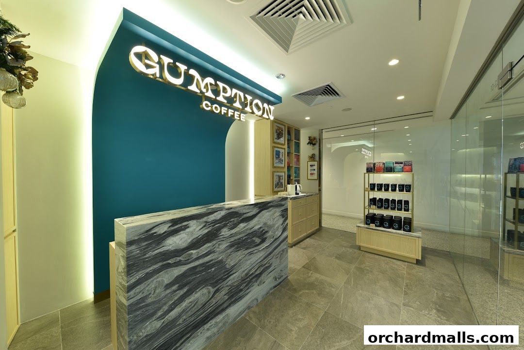 Interior view of Gumption Coffee shop with a marble counter and shelves of coffee products.