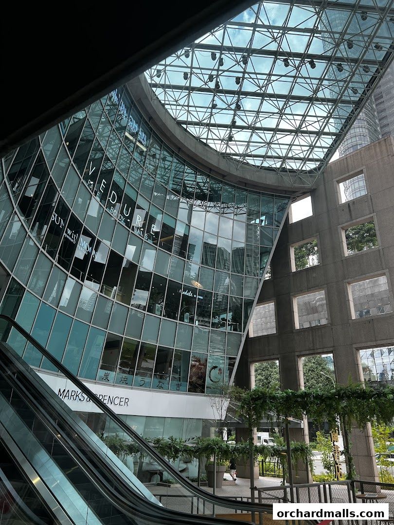 Modern building with glass facade and escalators, featuring retail store signage.