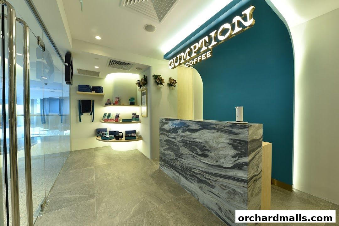 Interior view of Gumption Coffee shop with a marble counter and shelves displaying merchandise.