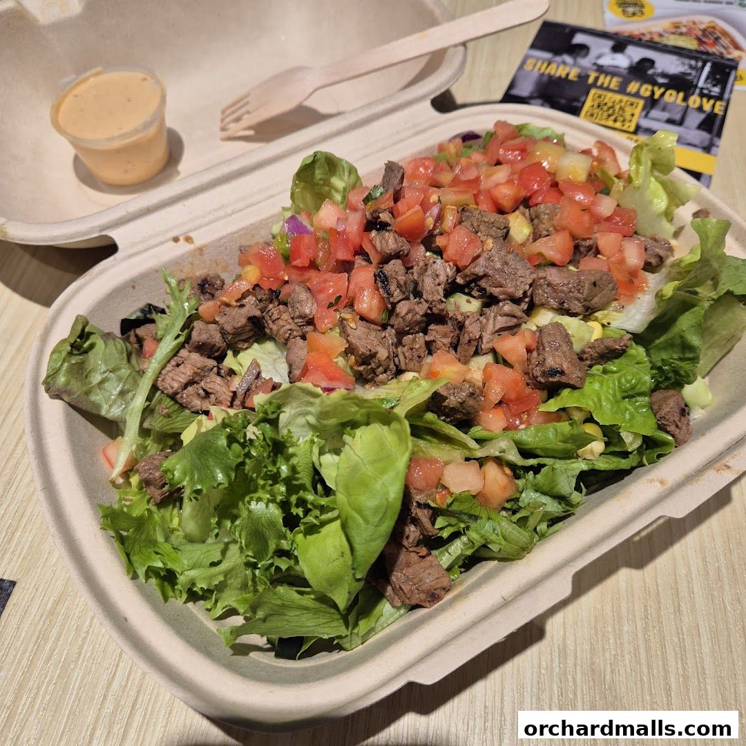 A delicious Guzman y Gomez salad with steak, lettuce, tomatoes, and a side of dressing.