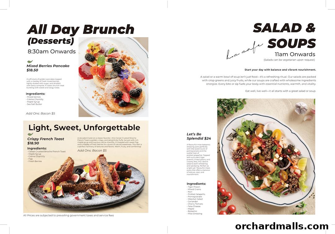 Menu page for HC halcyon  crane