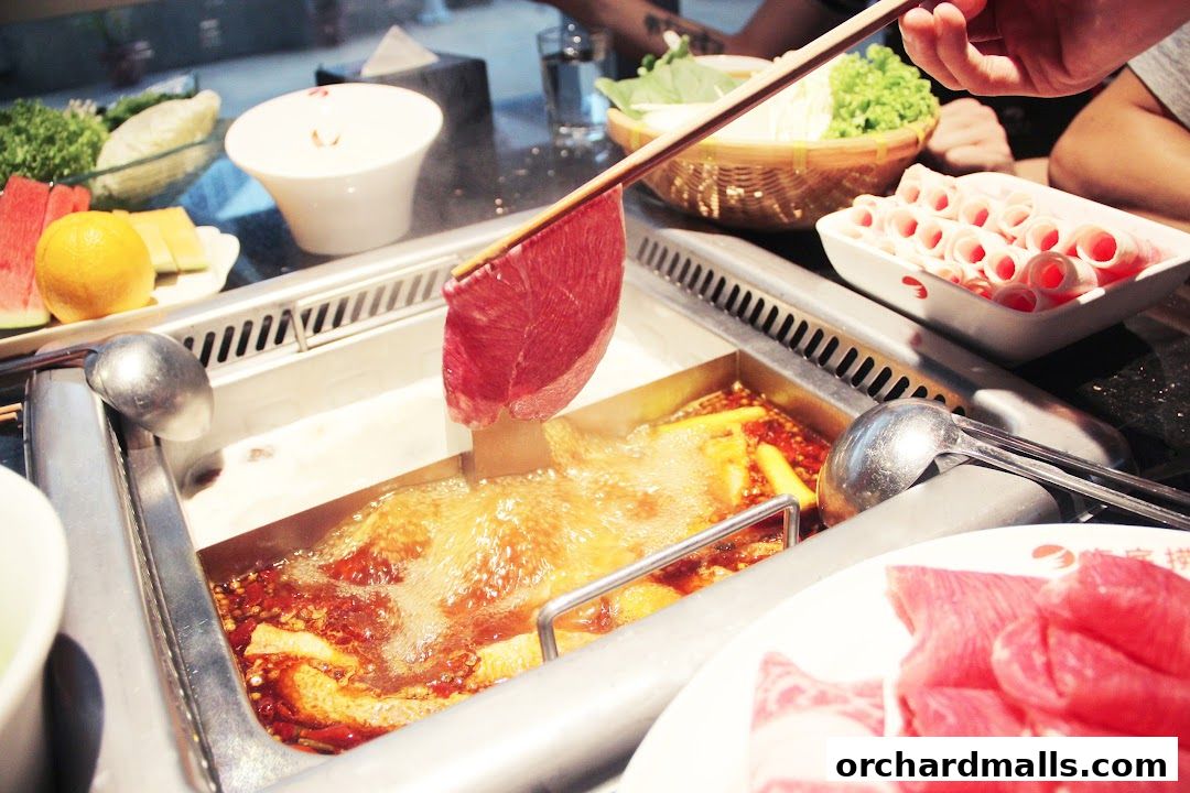 海底捞 Haidilao Hot Pot 313Somerset