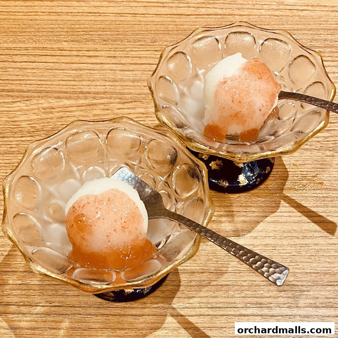 Two elegant glass bowls filled with refreshing sorbet and fruit topping.