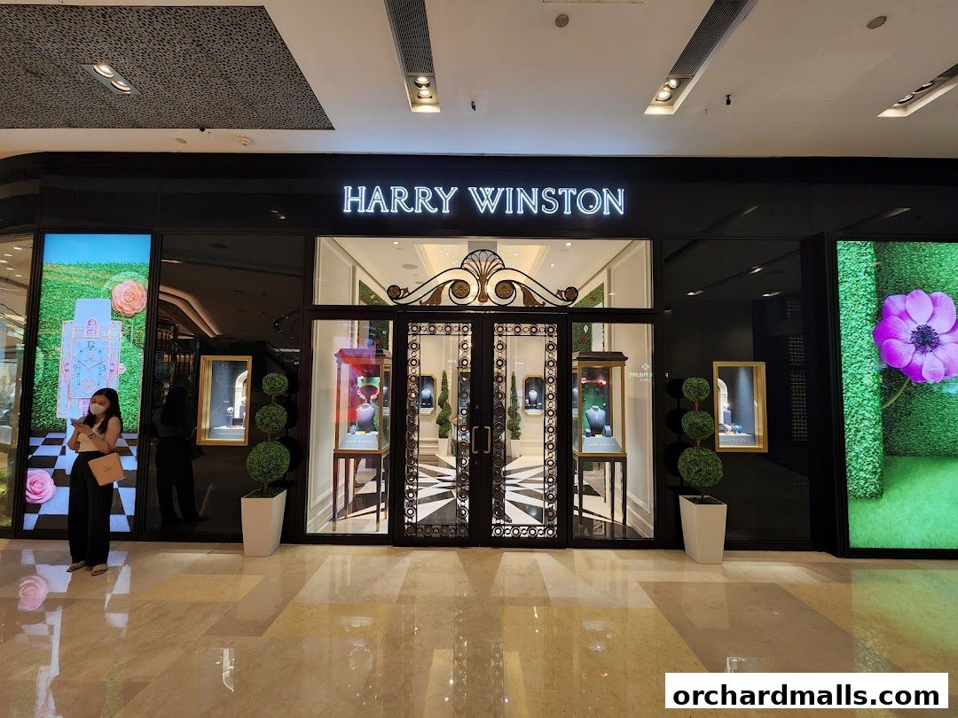 The elegant Harry Winston jewelry store entrance with illuminated signage and display windows.