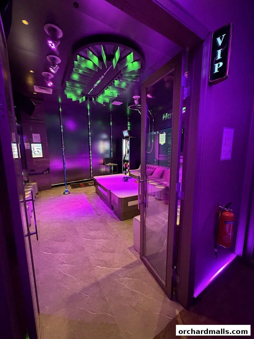 HaveFun Karaoke 313Somerset