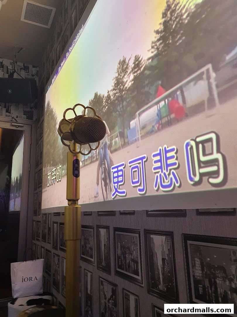 HaveFun Karaoke 313Somerset