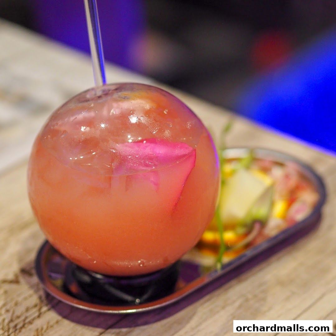 HaveFun Karaoke 313Somerset