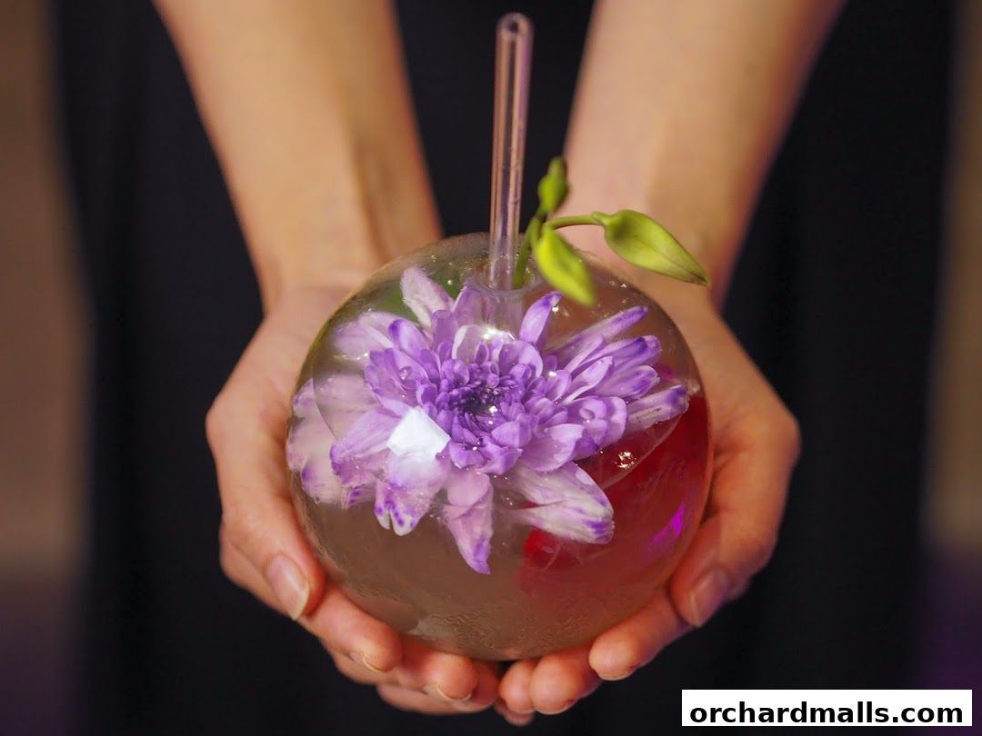 HaveFun Karaoke 313Somerset