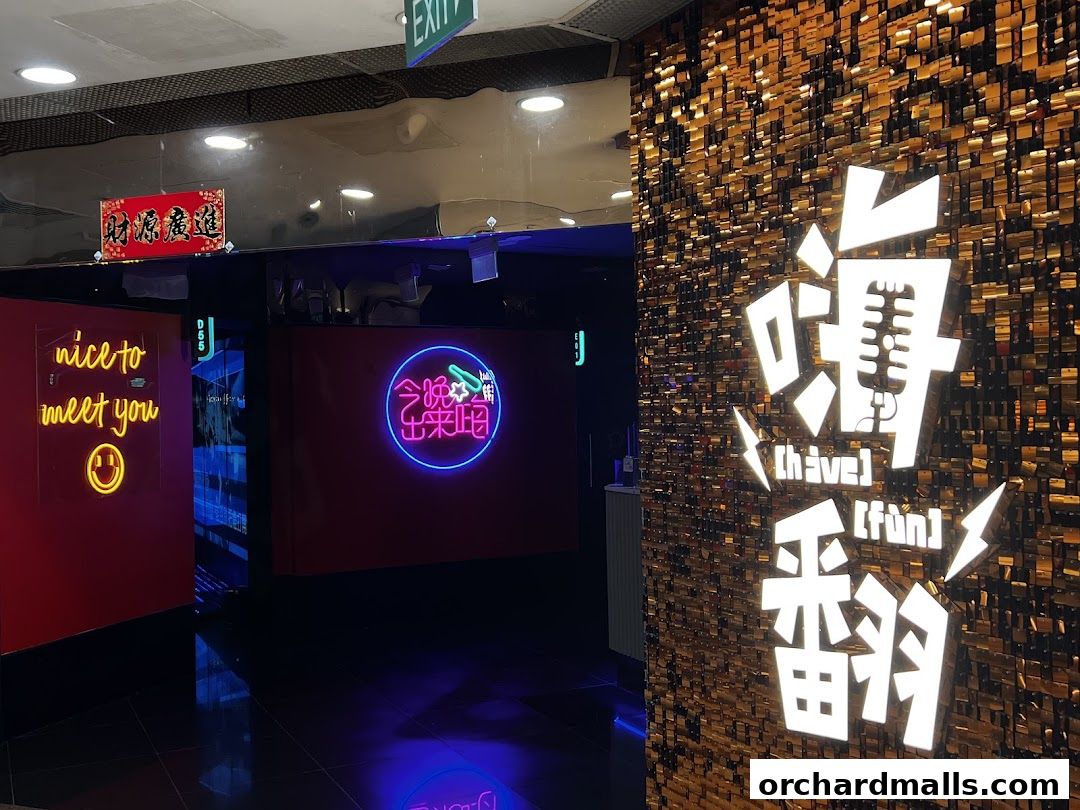 HaveFun Karaoke 313Somerset