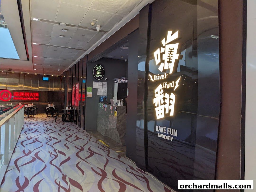 HaveFun Karaoke 313Somerset