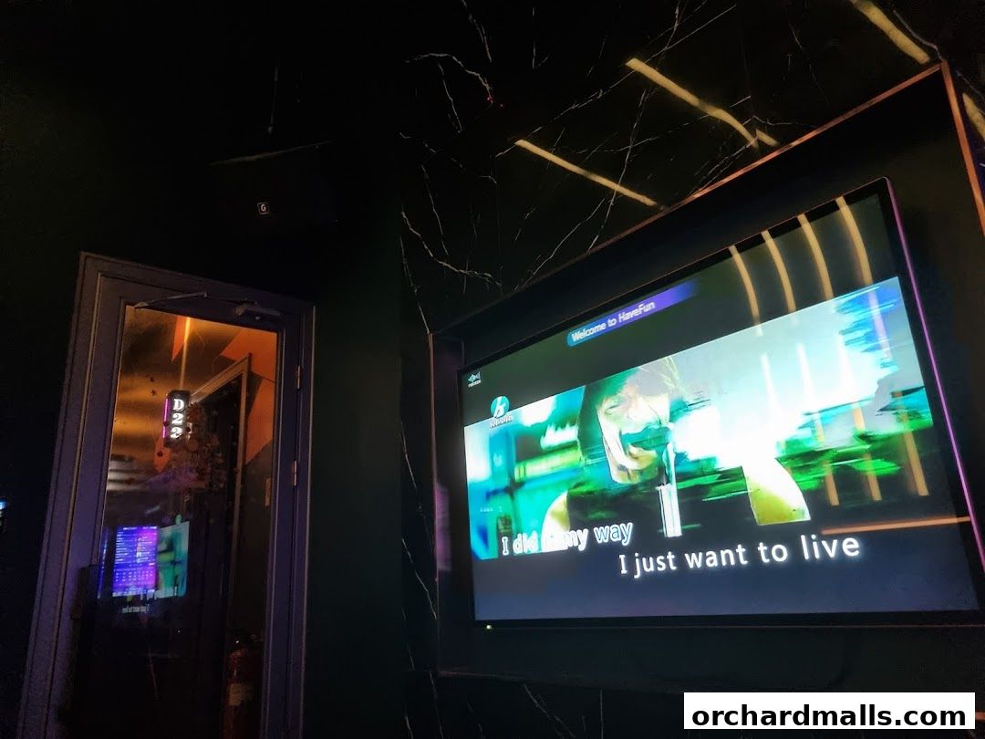 HaveFun Karaoke 313Somerset