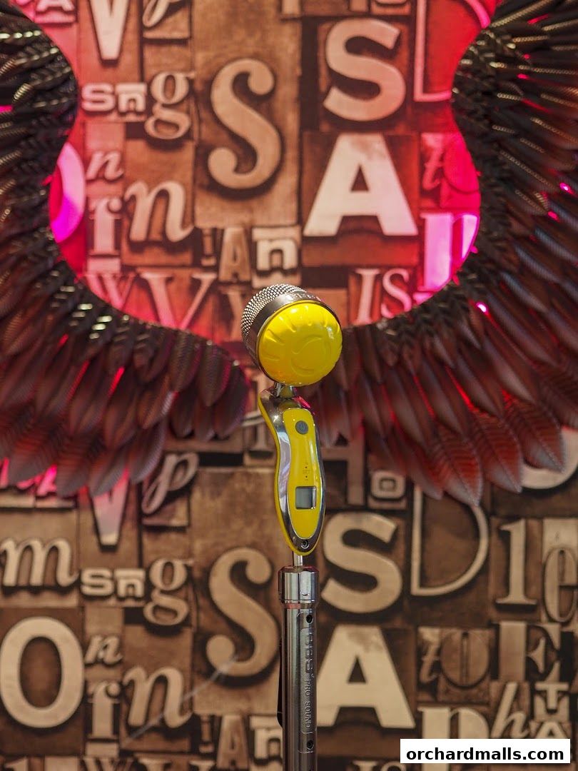 HaveFun Karaoke 313Somerset