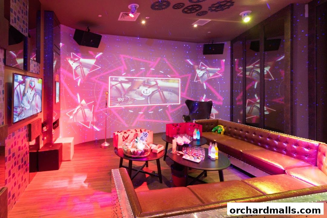 HaveFun Karaoke 313Somerset