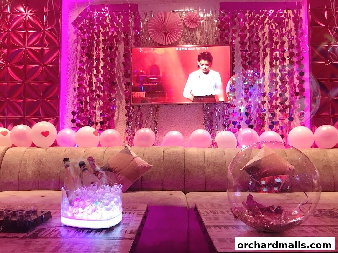 HaveFun Karaoke 313Somerset