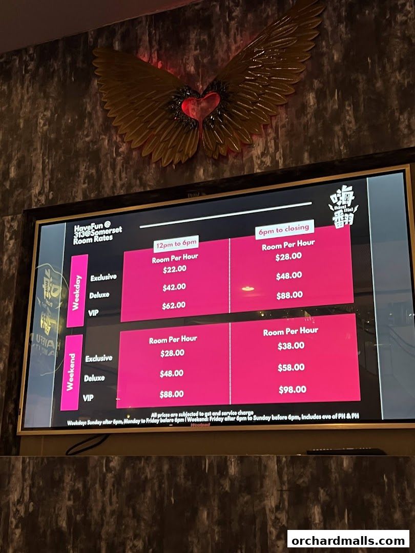 Menu page for HaveFun Karaoke 313Somerset