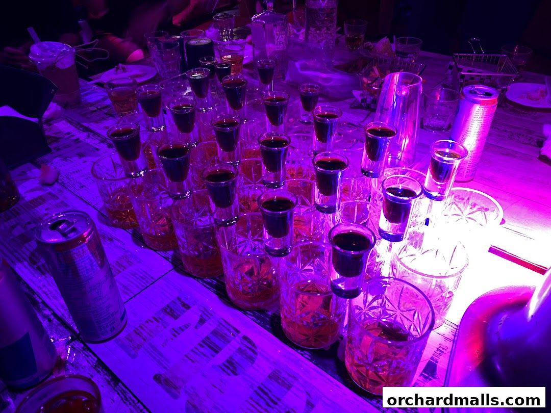 HaveFun Karaoke 313Somerset