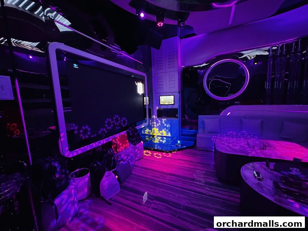 HaveFun Karaoke 313Somerset