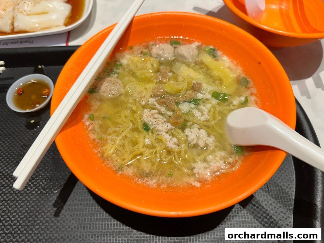 A close-up of a bowl of noodle soup with meatballs and minced meat.