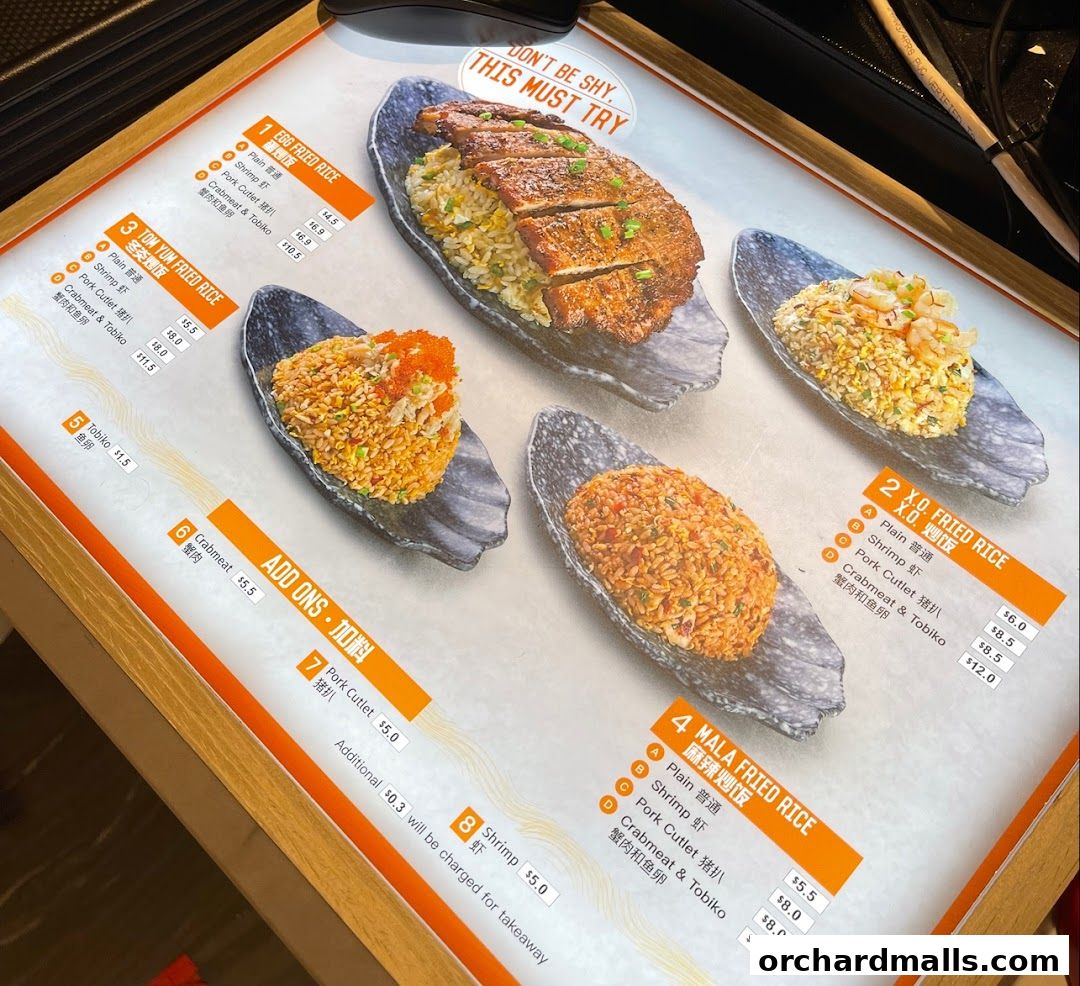 A menu showcasing various fried rice dishes with ingredients and prices.