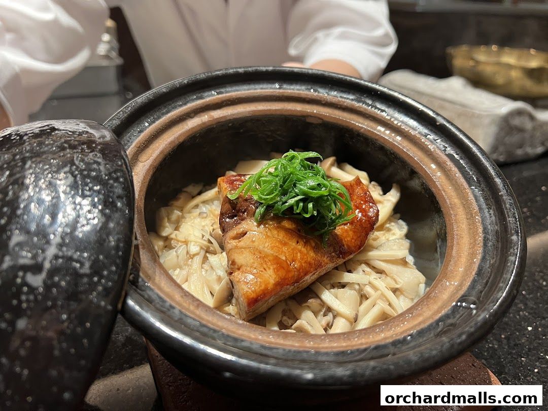 A close-up of a delicious dish with rice, mushrooms, and a piece of glazed fish.