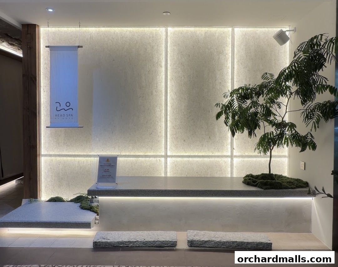 Head Spa by GOYO  Korean Head Spa  Massage  Facial Services  Mandarin Gallery