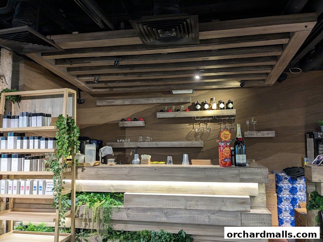 Head Spa by GOYO  Korean Head Spa  Massage  Facial Services  Mandarin Gallery