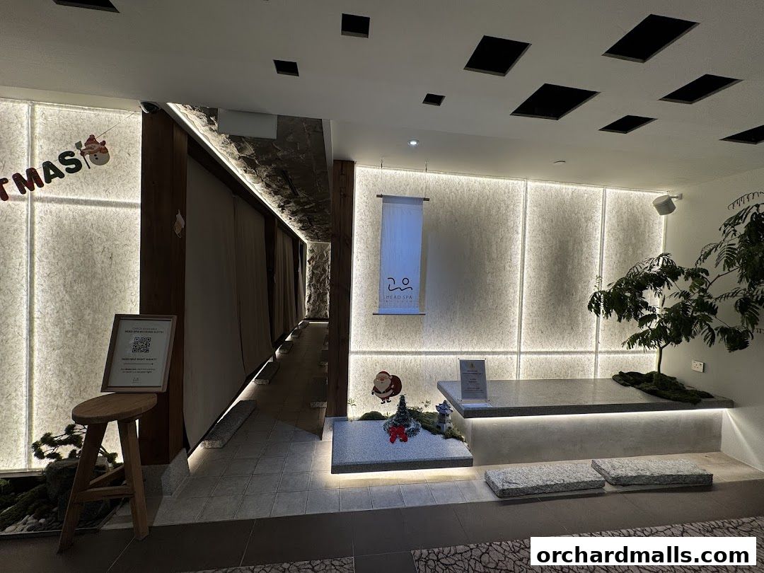 Head Spa by GOYO  Korean Head Spa  Massage  Facial Services  Mandarin Gallery