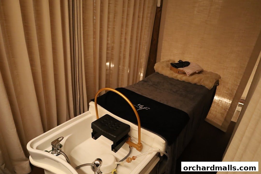 Head Spa by GOYO  Korean Head Spa  Massage  Facial Services  Mandarin Gallery