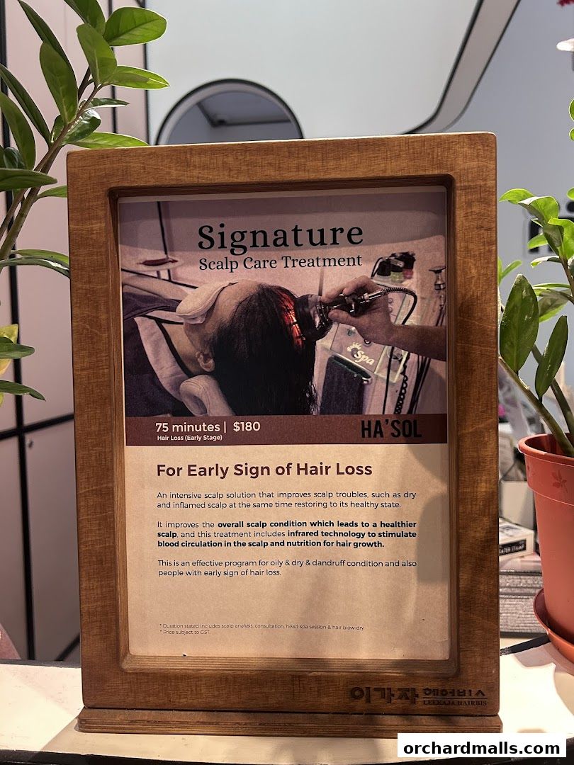 Head Spa by GOYO  Korean Head Spa  Massage  Facial Services  Mandarin Gallery